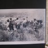 Partinico (79)
